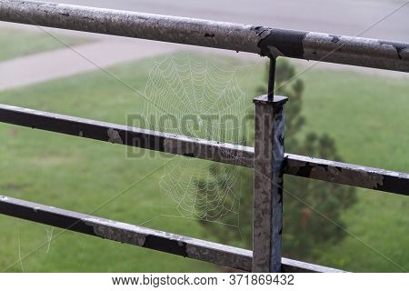 Spider's Web In Foggy Weather On Metal Balcony Railings