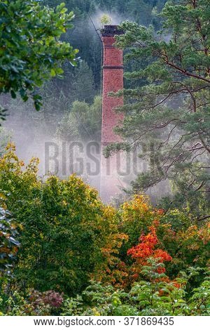 Old Red Brick Chimney With A Tree On Top Of It In Foggy Autumn Morning