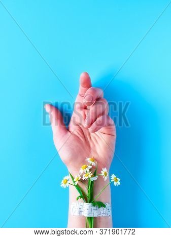 Hand Of Mature Woman With Chamomile Flower Bouquet Attached With Medical Aid Patch. Creative Modern 