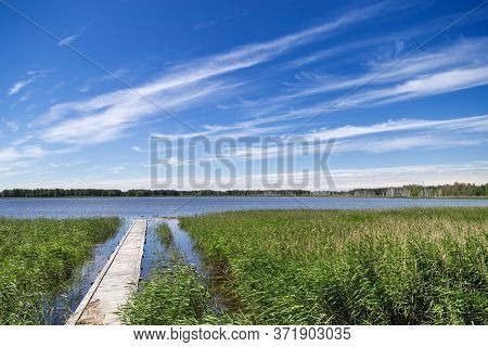 Lake Overgrown With Reeds. Nature Landscape, View Of A Reservoir With Banks Overgrown With Lush Vege