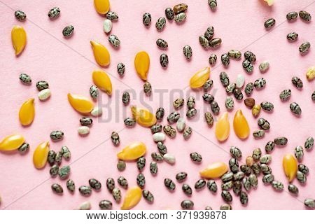 Healthy superfood:  flax seeds, chia seeds and hemp shelled seed on pink background