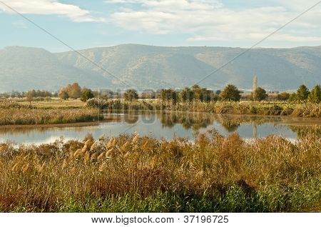 Landschaft des oberen GalilÃ¤a. Israel.