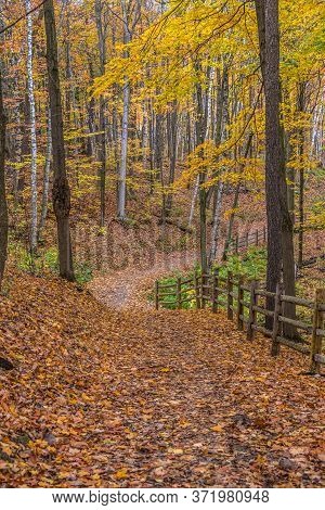 Pake In Fall Time Near Toronto, Canada