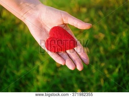 Red Heart On The Female Hand On A Background Of Grass.