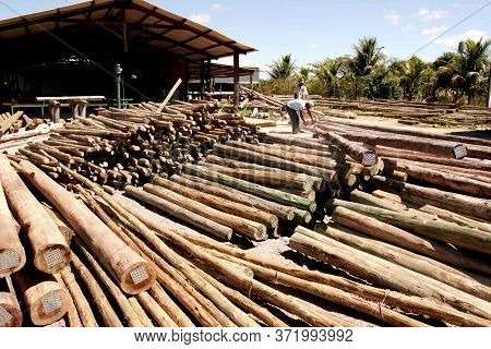 Eunapolis, Bahia / Brazil - November 26, 2010: Autoclave Treated Eucalyptus Wood, Making The Wood Im