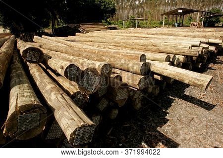 Eunapolis, Bahia / Brazil - November 26, 2010: Autoclave Treated Eucalyptus Wood, Making The Wood Im