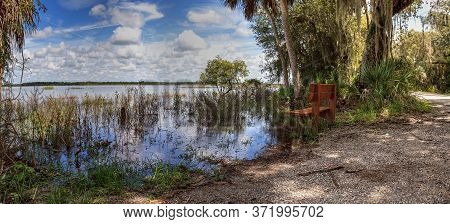 Bench Overlooks The Flooded Swamp Of Myakka River State Park In Sarasota, Florida.