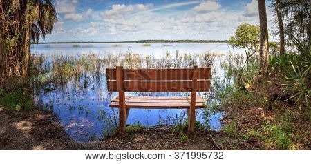 Bench Overlooks The Flooded Swamp Of Myakka River State Park In Sarasota, Florida.