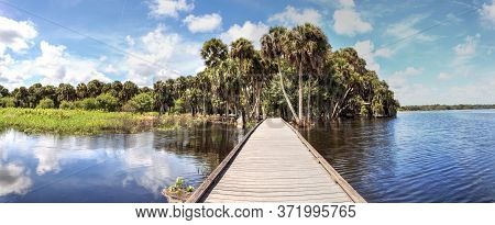 Boardwalk Overlooking The Flooded Swamp Of Myakka River State Park In Sarasota, Florida.