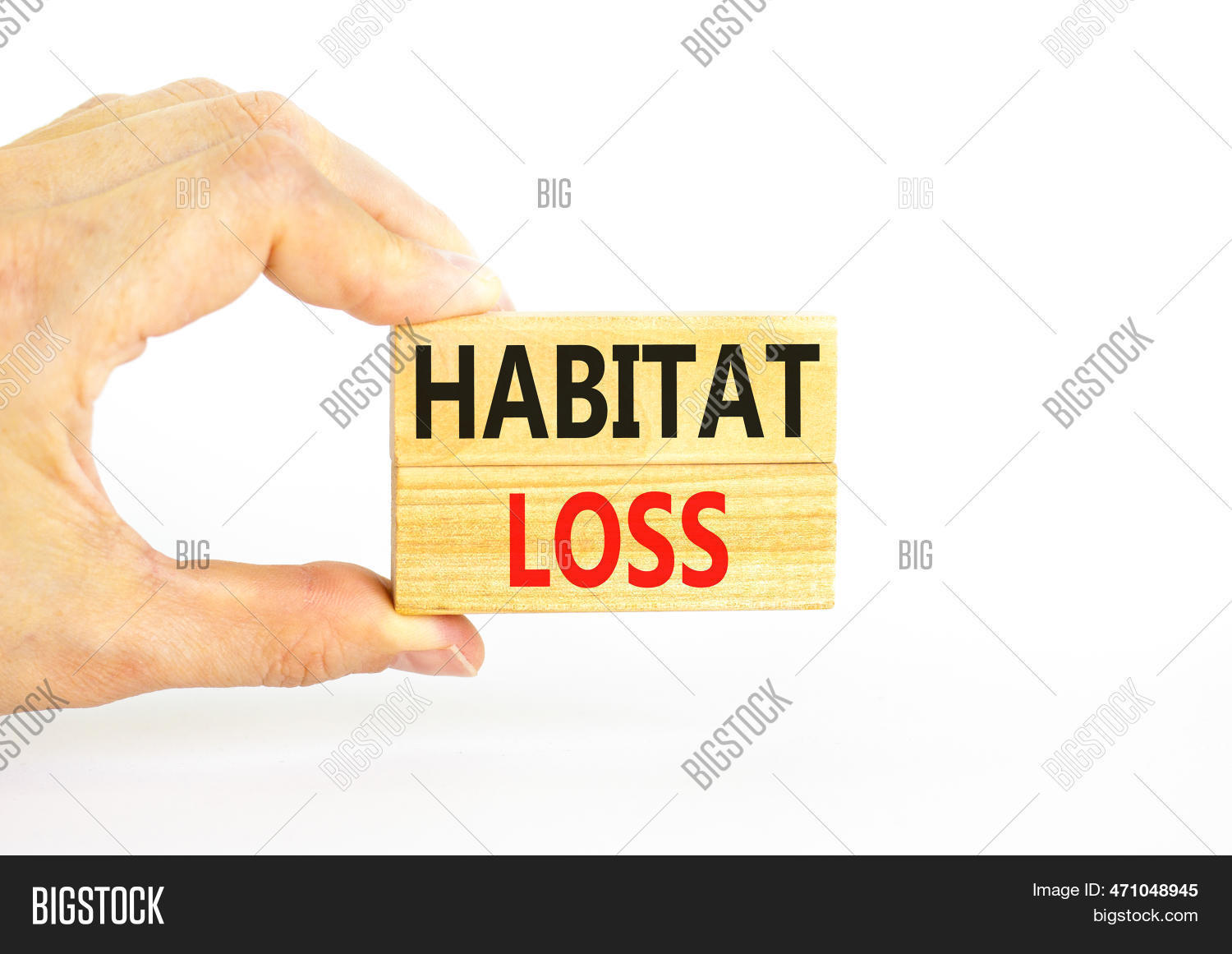 Habitat Loss Symbol. Image & Photo (Free Trial) Bigstock