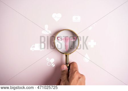 Uterus Female Reproductive System, Women Health, Pcos, Ovary Gynecologic And Cervical Cancer, Magnif