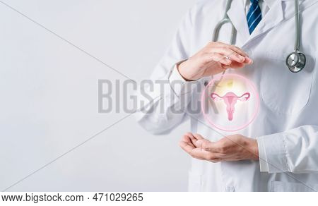 Doctor In A White Coat Holding Virtual Uterus Reproductive System , Woman Health, Pcos, Ovary Gyneco