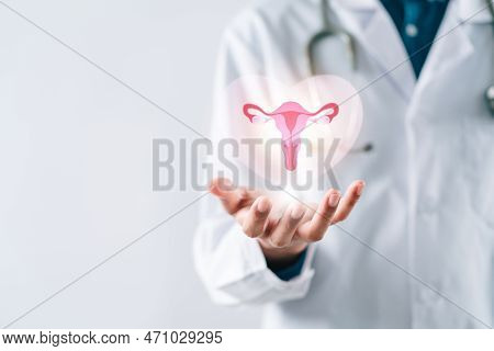 Doctor In A White Coat Holding Virtual Uterus Reproductive System , Woman Health, Pcos, Ovary Gyneco