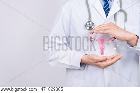 Doctor In A White Coat Holding Virtual Uterus Reproductive System , Woman Health, Pcos, Ovary Gyneco