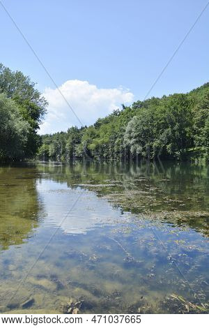 Detail Of River Kupa Near Orljakovo In Croatia