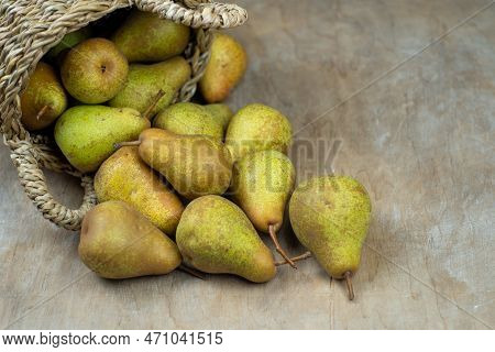 Pears In Basket On A Wooden Background. Fruit Harvest. Autumn Still Life. Pear Variety Bera Conferen
