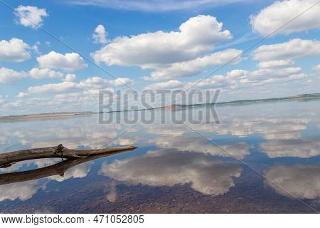 A Tree Branch Sticking Out Of The Water, Red Hill With Forests On Background