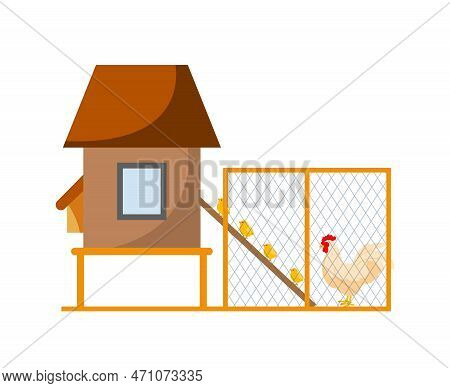 Chicken In Cage With Chicks. Mother With Children On Farm, Chickens Climb Board. Farming And Agricul