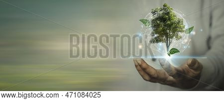 Energy Consumption And Co2 Emissions Are Increasing, Renewable Energy Based Green Businesses Can Lim