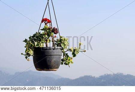 Early Morning View Of Modern Rooftop Restaurant At Kasauli, Himachal Pradesh In India, View Of Mount