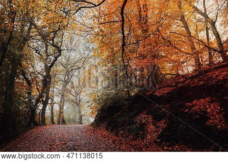 A View Of A Walking Path At The Wrekin Hill In England.
