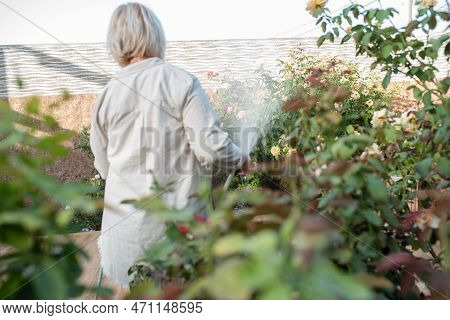 Beautiful Blurs Back View Portrait Of Senior Woman Holding Water Hose Watering Flowers At Backyard G