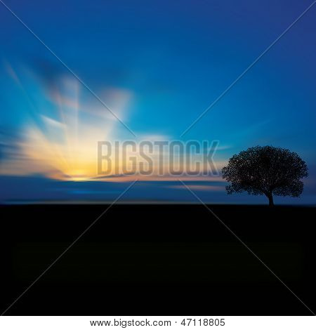 Abstraktní pozadí s mraky strom a Sunrise