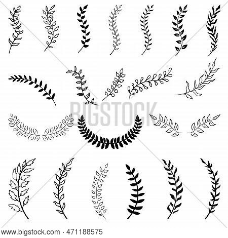 Set Of Hand Drawn Silhouette Tree Branches With Laurel, Oak And Olive Foliate. Vector Illustration F