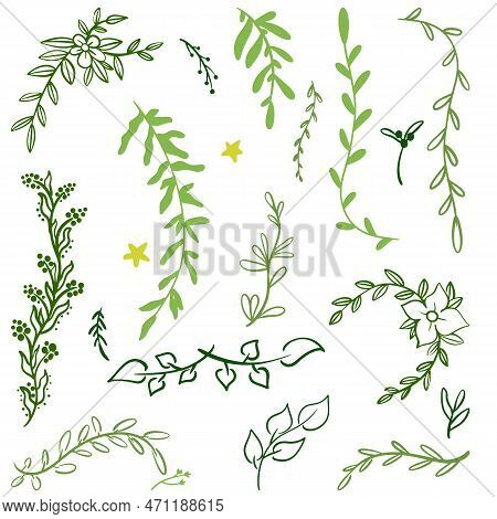 Set Of Hand Drawn Silhouette Tree Branches With Laurel, Oak And Olive Foliate. Vector Illustration F