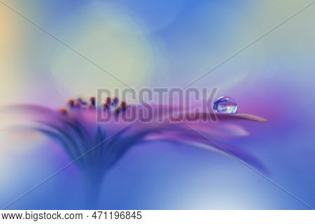 Beautiful Macro Photo.Magic Flowers.Border Art Design.Magic Light.Extreme Close up Photography.Conceptual Abstract Image.Violet and Blue Background.Fantasy Art.Creative Wallpaper.Beautiful Nature Background.Amazing Spring Flower.Water Drop.Copy Space.