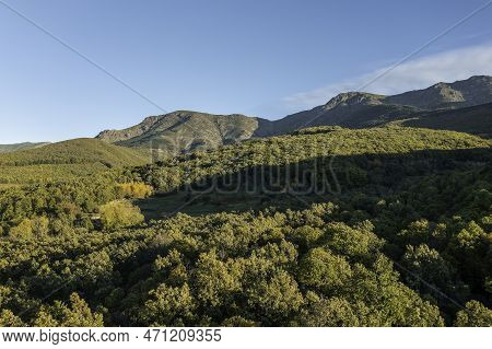 Aerial Drone View Autumn Landscape Of 