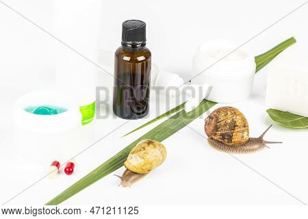 Cosmetics Organic Made With Slaver Of Snail, Very Good For Skin And Health And Fashion In Europe.pot