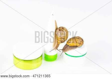 Cosmetics Organic Made With Slaver Of Snail, Very Good For Skin And Health And Fashion In Europe. Po