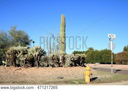 Xeriscaped Crossroad At Monte Cristo And 41st Avenue In North West Phoenix, Arizona Country-like Res