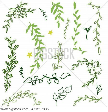 Set Of Hand Drawn Silhouette Tree Vector