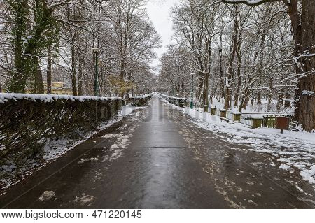 Winter Landscape With Snow. Beautiful Park With Trees - Straznice - Czech Republic