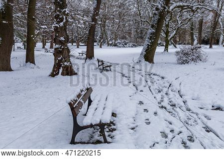 Winter Landscape With Snow. Beautiful Park With Trees - Straznice - Czech Republic