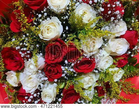 Beautiful Flowers, Species Of Roses Of Various Colors, Pink Roses, Yellow Roses, Red Roses, White Ro
