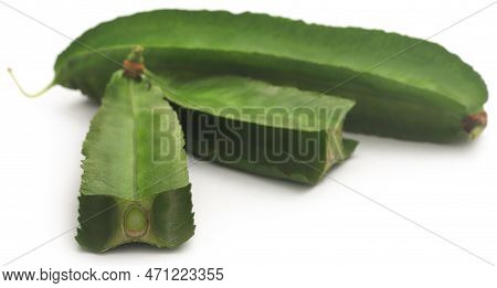 Winged Bean Fresh And Organic Over White Background