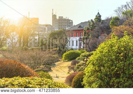 Tokyo, Japan - March 20 2022: Sunset On The Japanese Garden Of The Koishikawa Botanical Gardens With