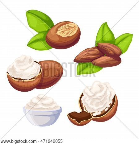Shea Beauty Butter Set Cartoon Vector Illustration