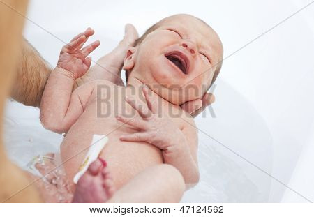 Newborn Is Bathed In The Bathroom