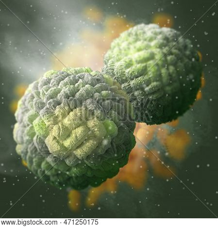 Medical Background, Zika Virus, A Species Of Viruses Of The Genus Flavivirus Family Flaviviridae, Ca