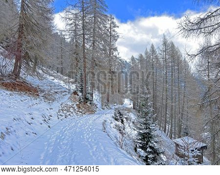 Alpine Forest Trails In A Typical Winter Environment And After The Winter Snowfall Above The Tourist