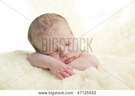 Cute Newborn