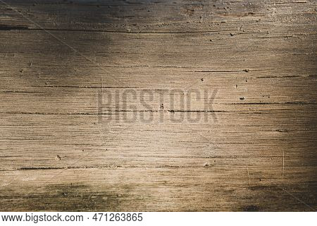 Texture Of Old Wood Damaged By Insects, In The Rays Of Sun And Shadows From Trees. Smooth Log Withou