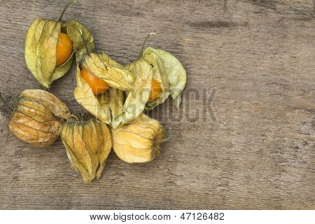 Makro kuva tuore Physallis marjoja