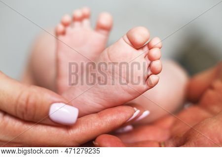 Parents Holding Newborn Baby Feet With Lettle Fingers Close Up On White Background. New Family, Care