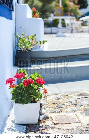 Hagyományos görög fehér Virágtartó a piros virágok, santorini-sziget, Görögország