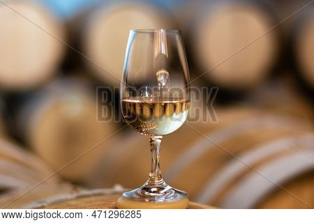 Tasting Of Rioja Wines, Visit Of Winery Cellars With French Or American Oak Barrels With Agening Red